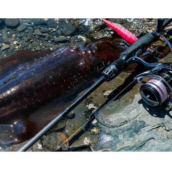 24 エメラルダスAIR